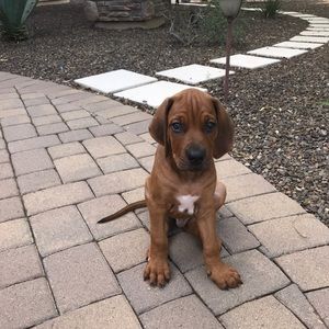 Meet your Posher, Cindy